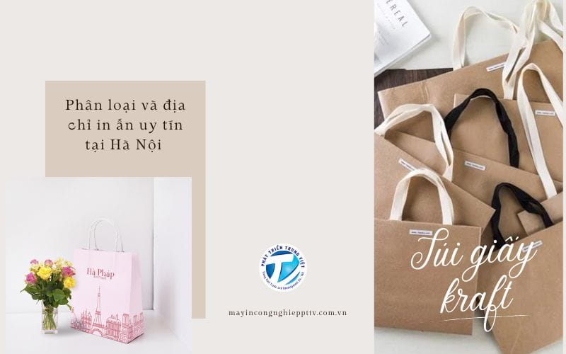Túi giấy kraft - Phân loại và địa chỉ in ấn uy tín tại Hà Nội